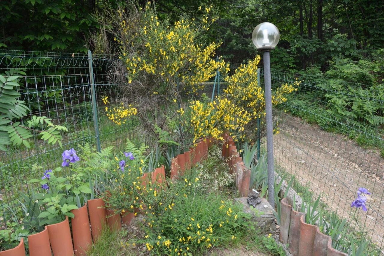 Casa Omnia B&B Castellamonte Luaran gambar